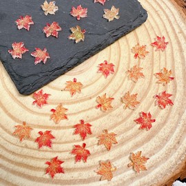 100Pcs Fall Nail Charms Autumn Maple Leaf Nail Rhinestones Flat Back Mixed Color Thanksgiving Nail Gems and Charms Orange Yellow Resin Maple Leaves Nail Jewels for Nail Art Clothes Shoes Decoration