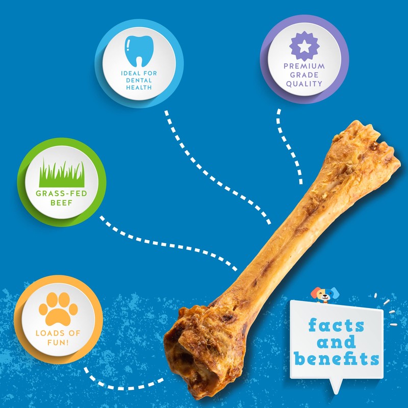Jack&Pup 8-11” Shin Bones, Roasted Meaty Beef Bone for Dogs