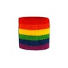 Flag FRITZE® Flag Rainbow Wristband + Free Sticker