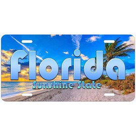 Florida Sunshine State Novelty Car Auto License Plate