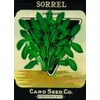 Lantern Press Sorrel Seed Packet (100% Cotton Tea Towel, Decorative
