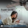 POCHFAN 42 inch Black Ceiling Fans with Lights and Remote