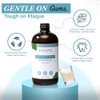 Living Well with Dr. Michelle Cool Mint Remineralizing Mouthwash |