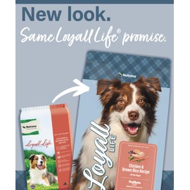 Nutrena Loyall Life All Life Stages Chicken and Rice Dog Food (40 Pounds), 1 Count (Pack of 1)