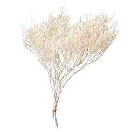 Ohchinouen DO002010-011 Earth Farm Preserved Flowers, Tatarika, Approx. L 11.8 inches (30 cm), 18 G