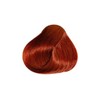 PRAVANA ChromaSilk Creme Hair Color with Silk & Keratin Protein,