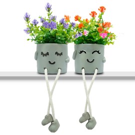 ASOPHEX 2 Packs Cute Fake Plants, Artificial Potted Plants for Table Desk Home Bedroom Bathroom Office Shelf Office Wall Room Farmhouse Decor Artificial Plants