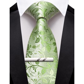 Barry.Wang Light Green Ties for Men Floral Tie Necktie and Tie Clip Wedding Business Flower Solid Color Formal