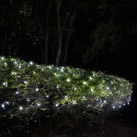 Wintergreen Lighting SoftTwinkle Pulsing Net Twinkle Lights, Net Lights Outdoor Twinkling Christmas Lights, Green Wire (70 Lights, 4’ x 6’ Net, Cool White)