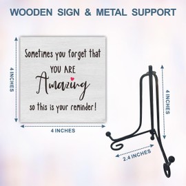 Wooden Sign Gifts Desk Decor - Sometimes You Forget That You Are Amazing - Motivational Wood Plaque With A Support Frame - Home & Office Inspirational Gifts For Women And Man, Desk Decor & Accessories - A06