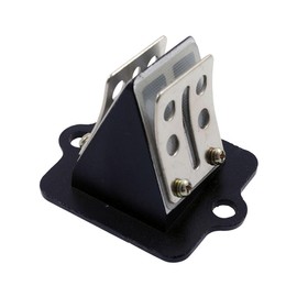 Racing Membrane Block Compatible with Gilera DNA 50cc, Ice, Runner 125cc, 180cc, Stalker, Storm, Typhoon, X