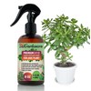 Gardenera Professional Jade Plant Spray Fertilizer Mist for Home Gardening