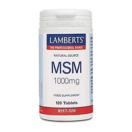 LAMBERTS - 120CAP MSM 1000MG