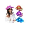 Sombrero Vaquero Rodeo Tornasol Disfraz Batucada Texano