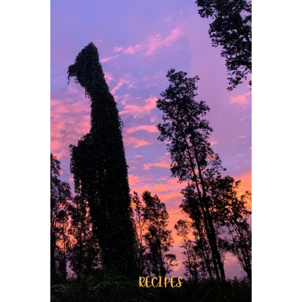 Recipes: A blank recipe journal.