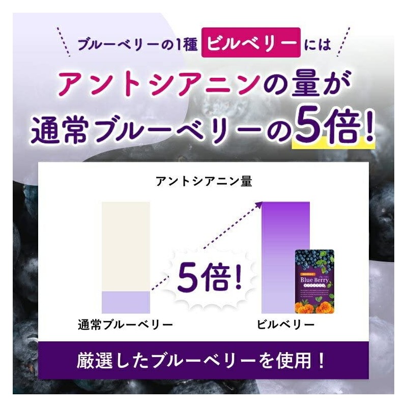 渡邊薬品 ブルーベリー ルテインプラス ビルベリー 60粒 3袋セット
