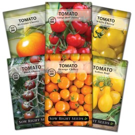 Sow Right Seeds Sow Right Seeds - Cherry Tomato Seed Collection for Planting - Black, Large Red, White, Orange, Bi-Color Cherry and Yellow Pear Tomatoes - Non-GMO Heirloom Varieties to Plant a Home Vegetable Garden