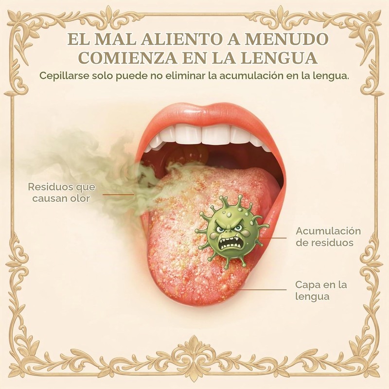 Rascador de lengua de acero inoxidable MasterMedi MMTC01 para aliento