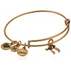 Alex and Ani Chai Charm Bangle, Rafaelian Gold, Expandable