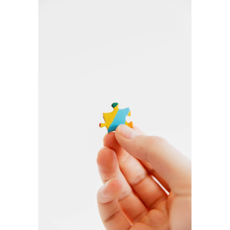 Castorland The Forest Stream Puzzle (2000 Piece)