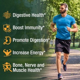 SHAPEINGIRL Oil of Oregano Capsules with Black Seed Oil - Organic Oregano Oil Supplement 200 Softgels, High Potency Carvacrol & Thymoquinone, Non-GMO, Immune Support, Digestive & Respiratory Health