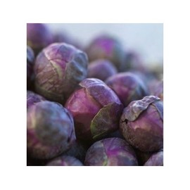Samen Schenker Brussels Sprouts Seeds - 25 Brussel Sprouts Seeds for Planting Vegetables Seeds for Outdoor Indoor Garden Planting Gardening Gift, Green