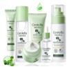 Set Mopoyat Kit Control De Acne Centella Asiatica