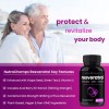 NutraChamps Resveratrol 1450 Mg Antienvejecimiento 60 Capsulas Hecho Usa