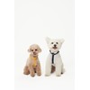 PETHROOM [Festroom] Anti-Shock Manners Leash Dog Walking Lead Neck Collar