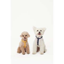 PETHROOM [Festroom] Anti-Shock Manners Leash Dog Walking Lead Neck Collar
