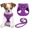 YIMEIS Dog Harness and Leash Set, No Pull Soft Mesh