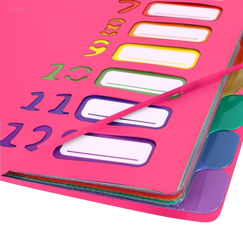 Project Folder A4 Organiser Desk Folder 12/20 Compartments Desk Folder