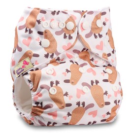 Littles & Bloomz, Reusable Pocket Cloth Nappy, Fastener: Popper, Set of 1, Pattern 83, Without Insert