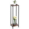 Extra Tall Plant Stand Indoor,40 Inch Plant Stands,2 Tier Metal