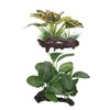 GRIRIW 2Pcs Durable Plastic Aquarium Decorations Betta Leaf Pad Hammock