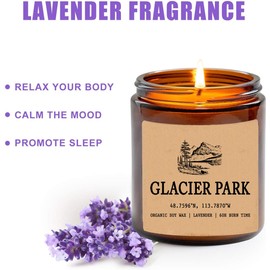 Glacier National Park Candles - Organic Soy Wax - Gift for Her - Gift for Him - New Home Gifts - Birthday Gift for Friend - National Park Gifts - State Candles