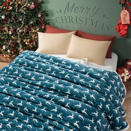 LBRO2M Sherpa Fleece Bed Blanket Queen Size,Christmas Super Soft Fuzzy Plush Warm Cozy Fluffy Microfiber Couch Throw Velvet Double Reversible Luxurious Blankets Green White Deer