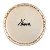 XDrum Bongo Fur 6.5 Inches Natural Fur for Bongo Drum