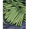 * Vegetable - Dwarf French Bean - Safari - 100
