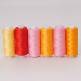 Leliafleury 6 Spools Sewing Thread Kits 400 Yard Embroidery Thread Polyester Thread All Purpose Threads for Sewing Embroidery Projects, Mixed Color E