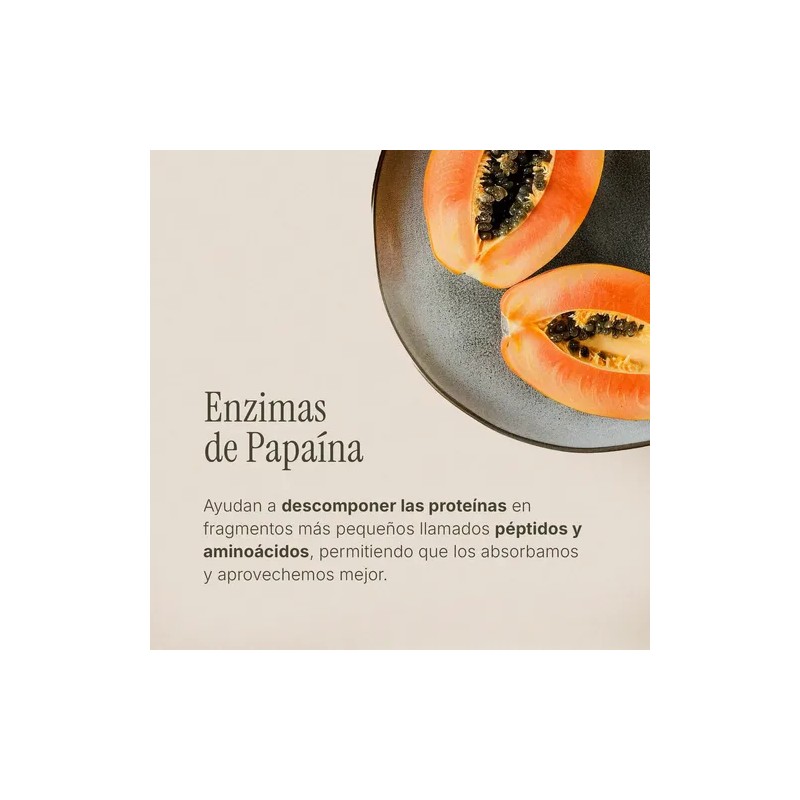 Enzimas Digestivas + Prebióticos | 60 Tabletas 1.2g | Maklen