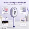 Electric Spray Air Cushion Massage Comb, Self-Clean Hair Detangler Brush