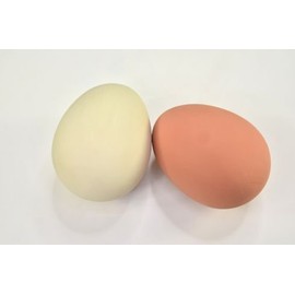 MIK Funshopping Bouncy Egg Crazy Egg - Go Crazy