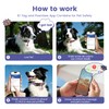 Pawview Dog Collar with Smart QR Code ID Tag –