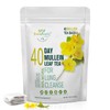 Mullein Leaf Tea for Lungs Cleanse and Immune Support, 100%