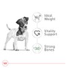 ROYAL CANIN, Adult - Small +8, Croquetas para Perro, 1.1kg
