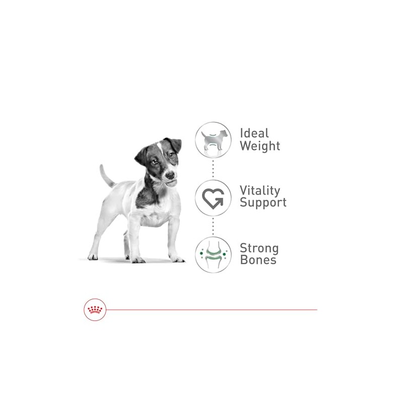 ROYAL CANIN, Adult - Small +8, Croquetas para Perro, 1.1kg