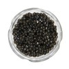 Caviar Star - Pacific White Sturgeon Caviar | Exquisite Fresh