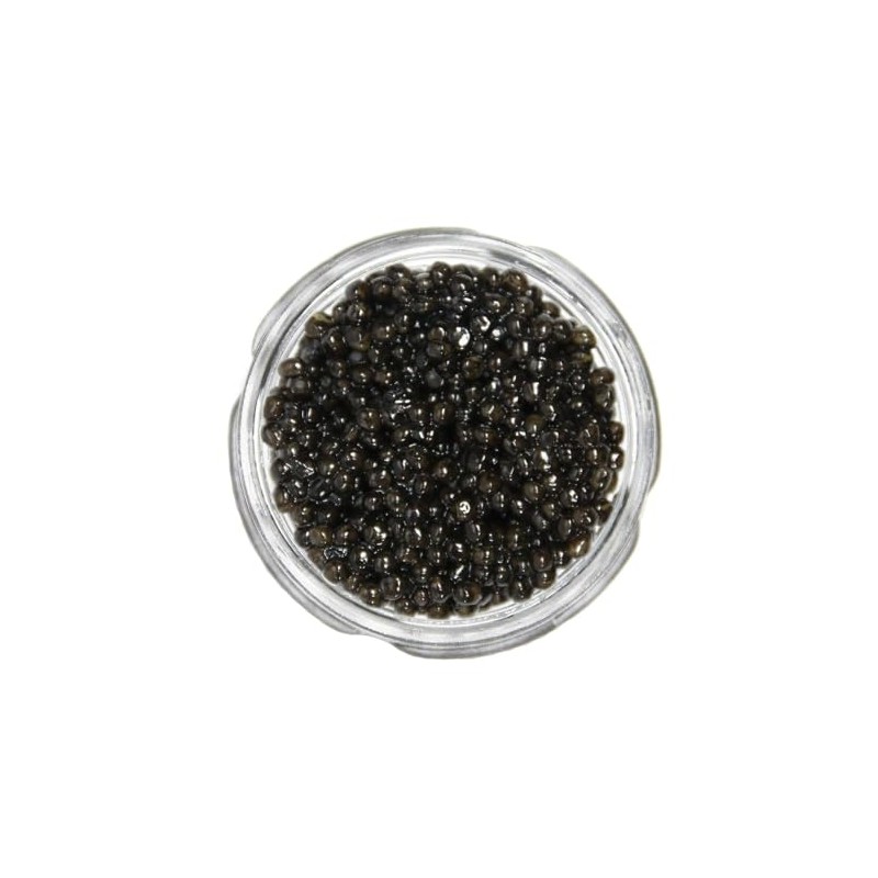 Caviar Star - Pacific White Sturgeon Caviar | Exquisite Fresh