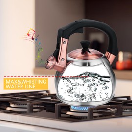 Stainless Steel Tea Kettle for Stove Top Teakettles Stovetop Whistling with Heat Proof Ergonomic Handle 2.5 Quart